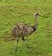 287: Rhea