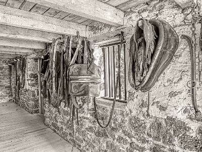 72: Batsto_2025sepia-10