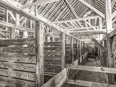 18: Batsto_2025sepia-16