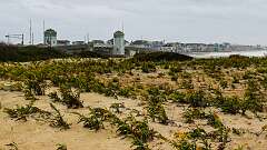 13: NorEaster_2025-12