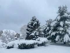 43: AnnaSheldon_2025-8