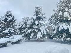 18: AnnaSheldon_2025-9