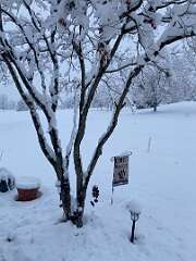 22: BerniceBailine_2025-53