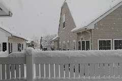 74: DonManfria_2025-303