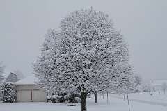 82: DonManfria_2025-304