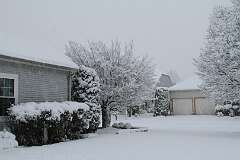 21: DonManfria_2025-305