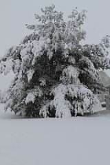 64: DonManfria_2025-306