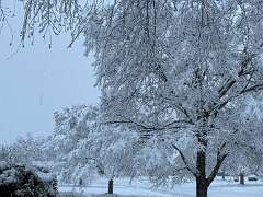 69: KathleenMiddleton_2025-5