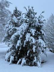 5: KathleenMiddleton_2025-6